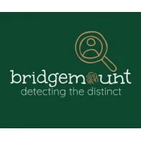 Bridgemount Solutions Inc.