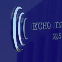 Echo International LLC