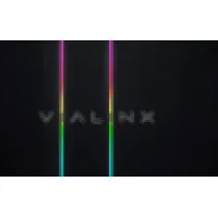 Vialinx SA Vialinx SA