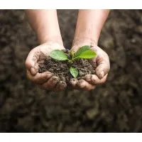 Global Dryland Alliance