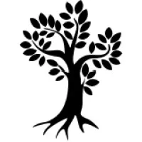 Iroko Analytics (Techstars '22)