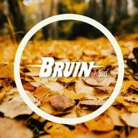 Bruin & Sons Landscaping LLC