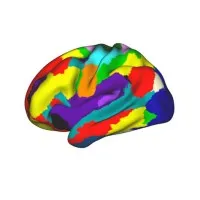 Gratton Lab Gratton Lab