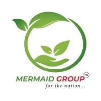 Mermaid Group (Bd)
