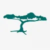 National Alopecia Areata Foundation National Alopecia Areata Foundation