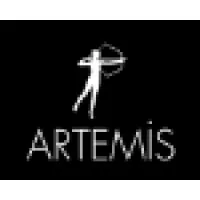 Artemis Yayınları Artemis Yayınları