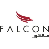 Falcon Aviation Services