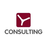 Y Consulting LLC