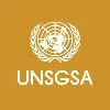 United Nations Secretary-General's Special Advocate for Financial Health United Nations Secretary-General's Special Advocate for Financial Health