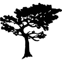 Torrey Pines Environmental