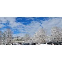 Mental Health Management