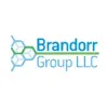 Brandorr Group Brandorr Group