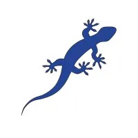 Gecko Websites
