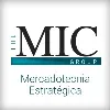 MIC Group - Mercadotecnia Inteligente Consultores