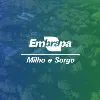 Embrapa Milho e Sorgo - 50 Anos Embrapa Milho e Sorgo - 50 Anos