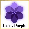 Pansy Purple Pansy Purple