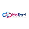 RedBeryl Tech Solutions Pvt Ltd RedBeryl Tech Solutions Pvt Ltd