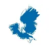 Icarus Design Icarus Design