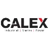 CALEX GROUP CALEX GROUP