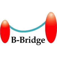 B-Bridge International