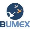 BUMEX s.a BUMEX s.a