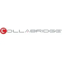 Collabridge Solutions Inc