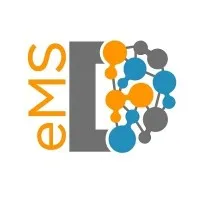eMSDigital Group