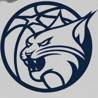 Minnesota Lynx
