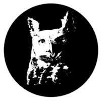 Authentic Transport Fine Art Services Authentic Transport Fine Art Services