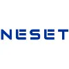 Neset Consulting Services