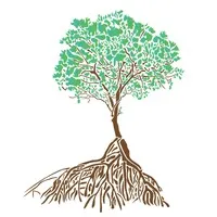 Walking Tree Family Practice, Inc.