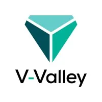 V-Valley Africa (ex-GTI Software & Networking)