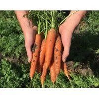 Moffatt Fresh Produce