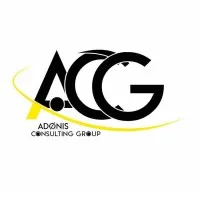 Adonis Consulting Group Adonis Consulting Group
