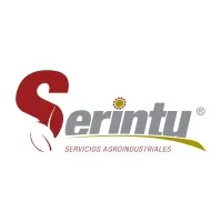 Serintu S.A.