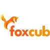 Fox Cub Games Fox Cub Games