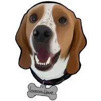 Laughing Hound