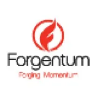 Forgentum Inc