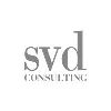 Svd Consulting S.r.l. Svd Consulting S.r.l.