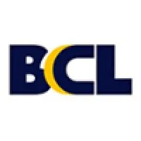 Business Communications LLC