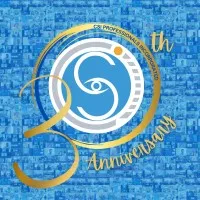 CSI PROFESSIONALS INC