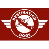 DESTINATION DOGS LLC