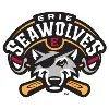 Erie SeaWolves Erie SeaWolves