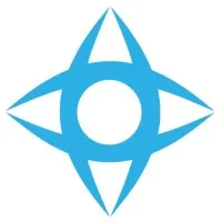Vision Strategy Group
