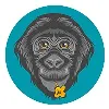 Friends of Bonobos Friends of Bonobos