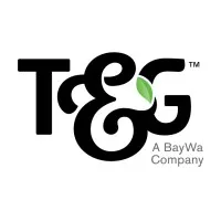 T&G Global Limited T&G Global Limited