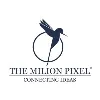 THE MILION PIXEL
