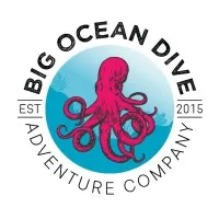 Big Ocean Dive (Outdoor Education)