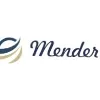 MENDER ADVISORY SERVICE LLP MENDER ADVISORY SERVICE LLP