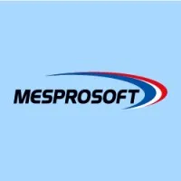 Mesprosoft Pvt Ltd